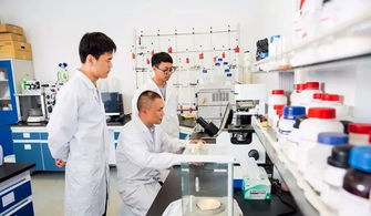 中國制造業第一縣聚力互聯網銷售轉型，新華日報頭版頭條聚焦產業升級新篇章